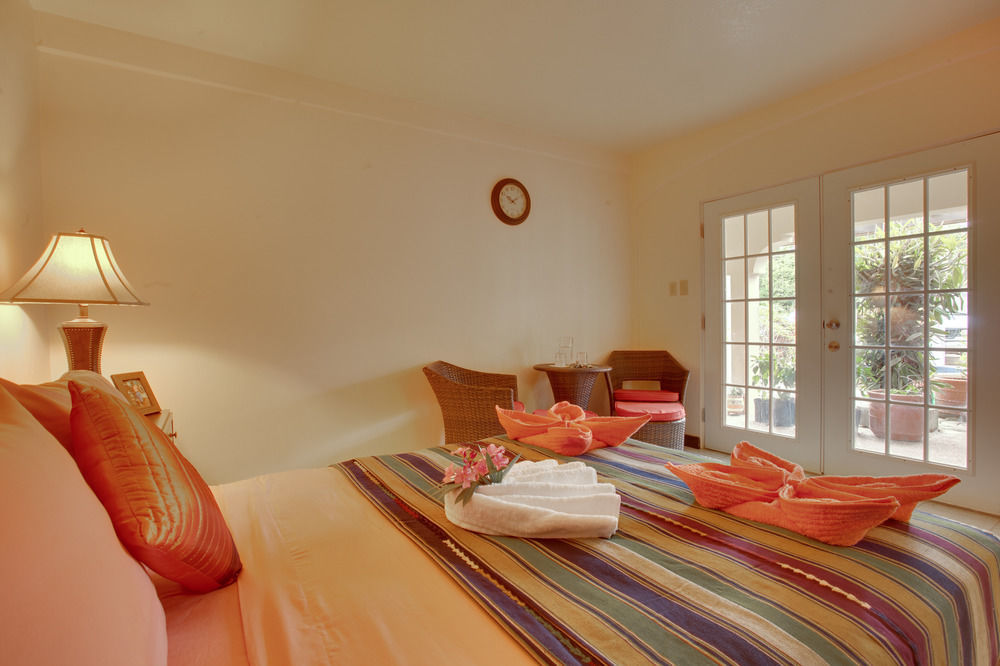 Caribbean Shores Bed & Breakfast Dangriga Exteriér fotografie